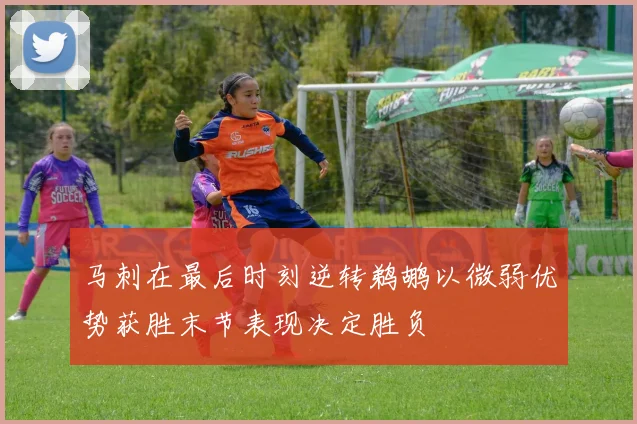 马刺在最后时刻逆转鹈鹕以微弱优势获胜末节表现决定胜负