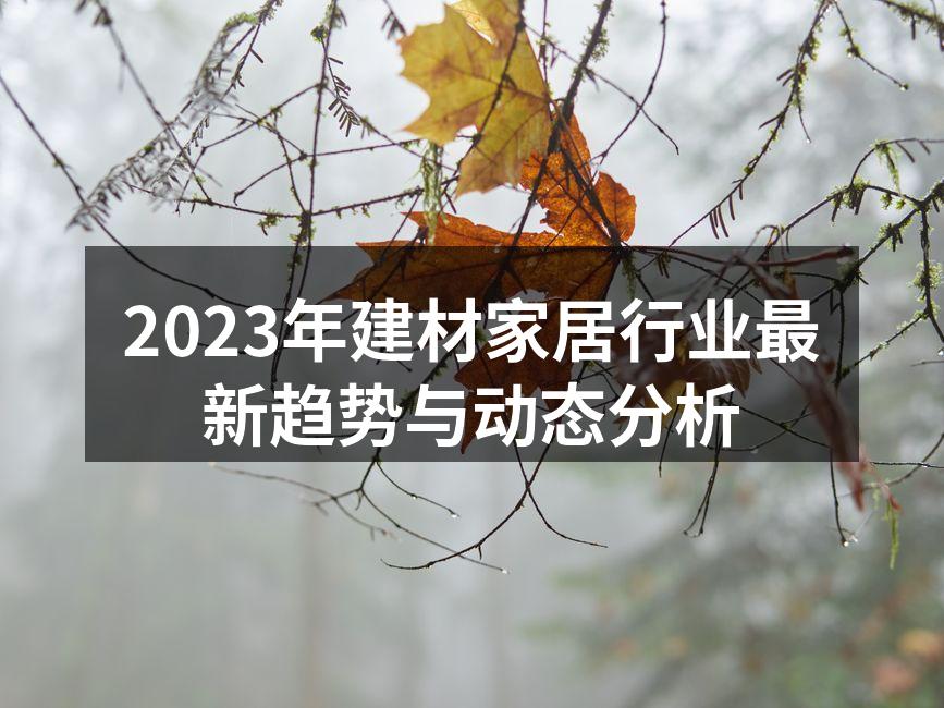 2023年建材家居行业最新趋势与动态分析